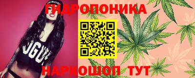 альфа пвп Донецк