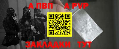гашик Донской
