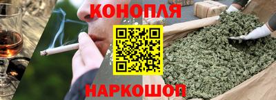 гашик Донской