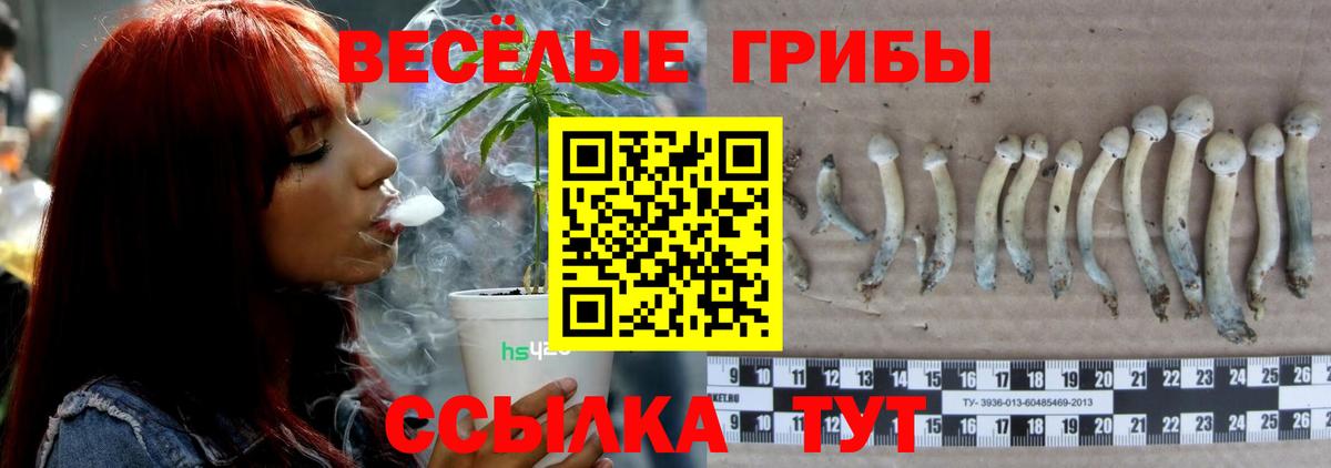 Галлюциногенные грибы ЛСД  Псилоцибиновые грибы Magic Shrooms  Вход с VPN  Кушва 
